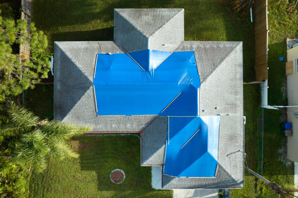 Best 4 Ply Roofing  in Pepeekeo, HI