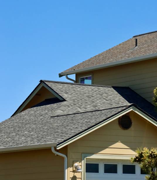 Best Roof Leak Repair  in Pepeekeo, HI